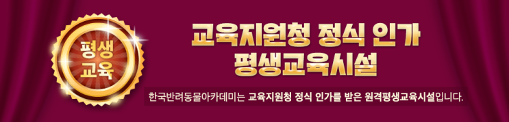  반려동물 지도사. 지금이 적기