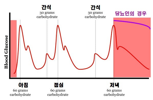  당뇨극복 필수&궁극의 팁 - 식후 저녁운동과 혈당조절