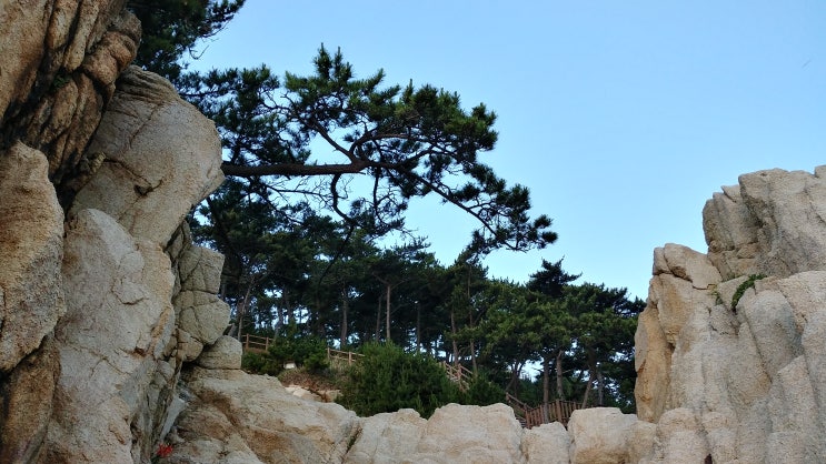 대왕암 해안산책로 용굴 덩덕구디 절곡과 그 주위 풍경 대왕암 해안산책로 용굴 덩덕구디 절곡과 그 주위 풍경