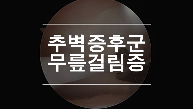  추벽증후군 무릎걸림으로 인한 무릎소리 제거 방법