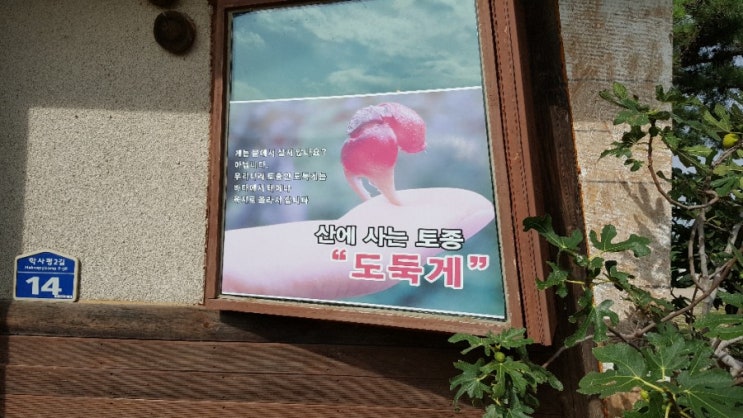  국내여행 (속초시) - 테라크랩팜