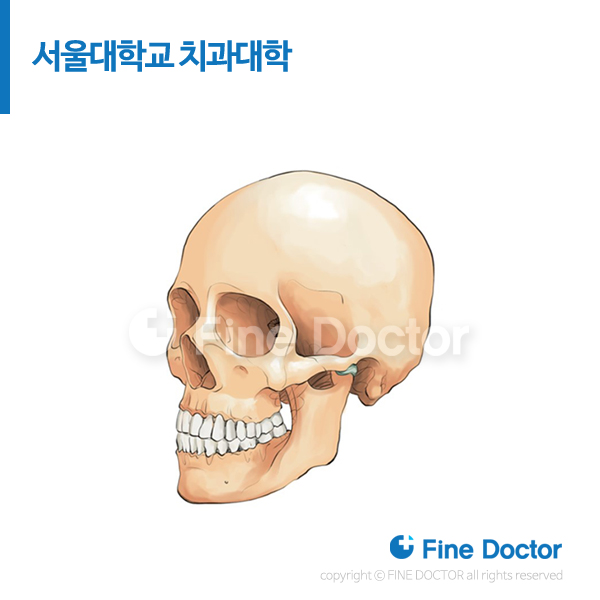  의학삽화 15년 전문 - 파인닥터 메디컬일러스트