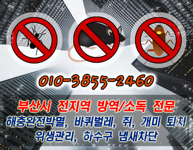 금정구 연제구 동래구 기장군 기장흰개미 퇴치 방역업체 아파트 주택 상가 어디든 달려갑니다!
