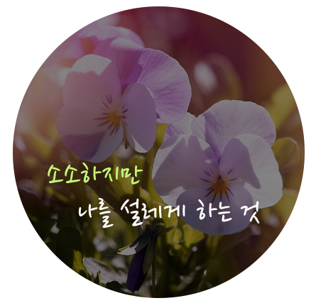 소소하지만 나를 설레게 하는 것 - 동요듣기