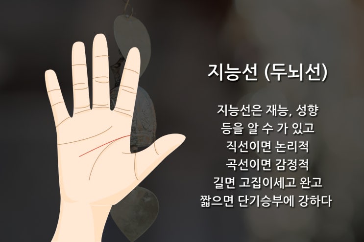  손금으로 보는 재능 [1분손금] 지능선