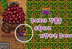 스타듀밸리 정보 27 주니모 오두막에 대해 네이버 블로그
