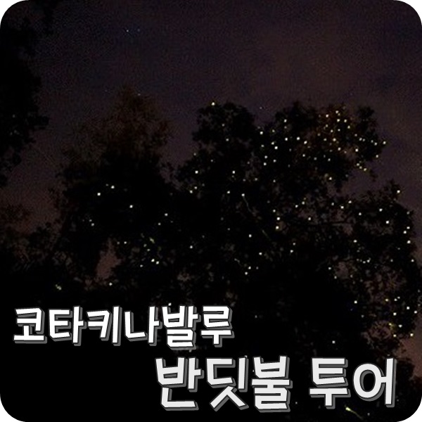  코타키나발루 반딧불 투어. 나나문투어 시간별 일정 참고