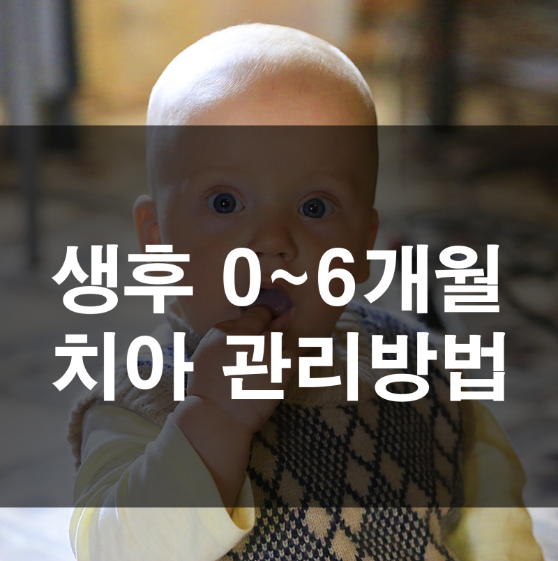 천안 소아치과 / 연령별 아기 치아관리 - 생후 0~6개월 치아관리 방법 : 네이버 블로그