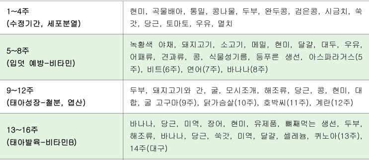  임신초기음식 무엇이 좋을까? 예비아빠가 작성한 임신 주수별 추천음식!