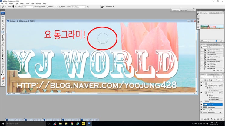  포토샵 브러쉬 도장 툴 동그라미 안보일때! 해결법 TIP