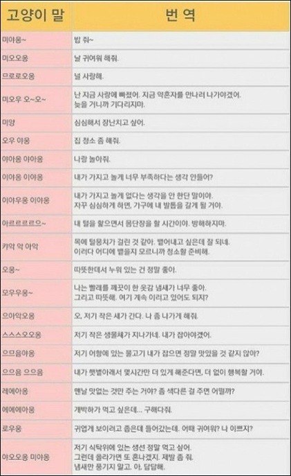  애냥이들을 위한 고양이울음소리 뚯
