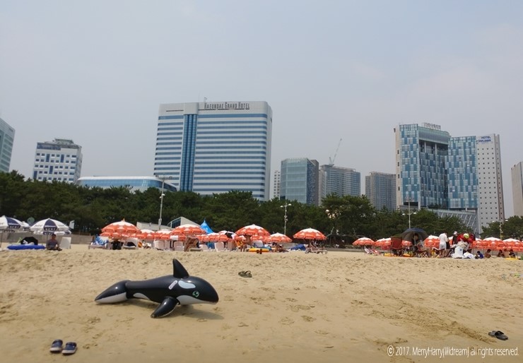  해운대해수욕장 파라솔/썬베드 대여비용 + 씨티카드 할인
