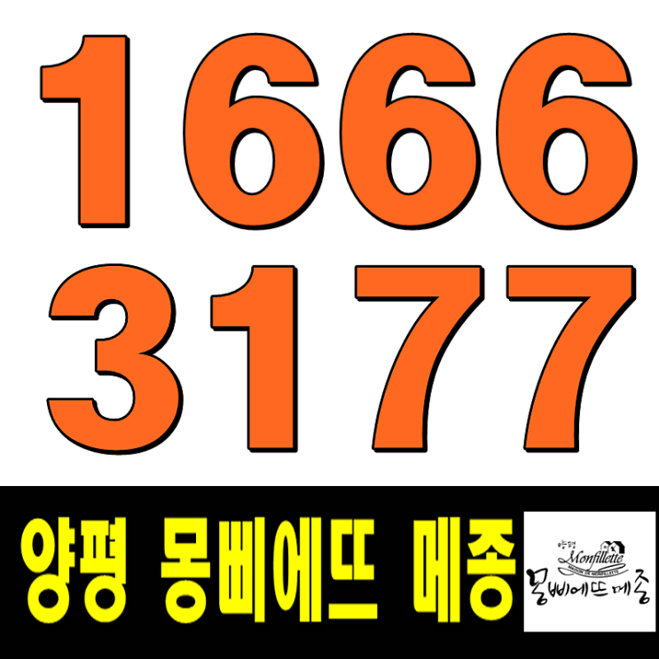  양평 몽삐에뜨 메종 3차 서두르세요!