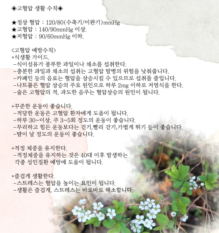  고혈압 예방수칙