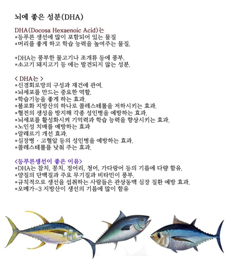  뇌에 좋은 성분-DHA-