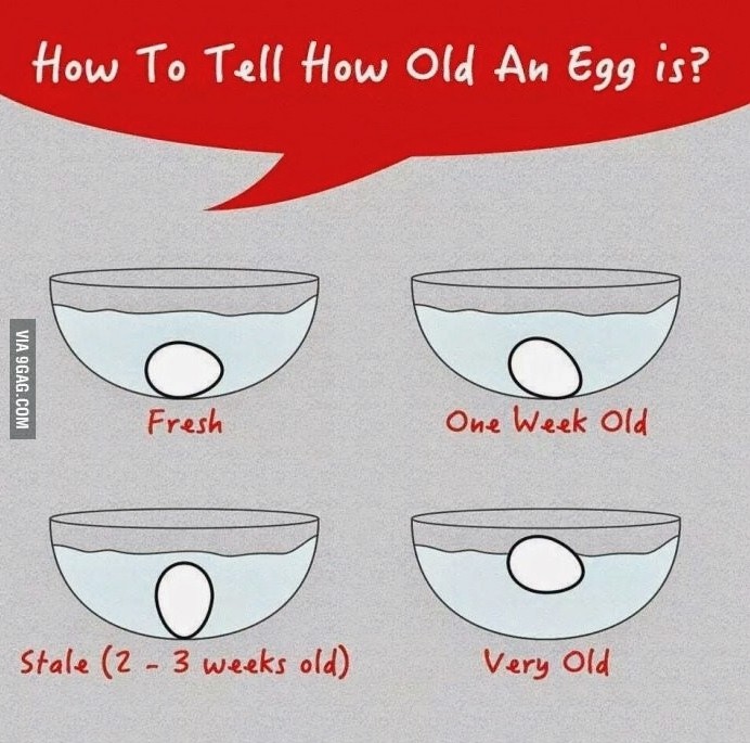 계란 유통기한 확인하기! : 네이버 블로그
