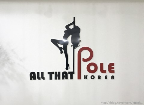  폴댄스 :) 폴댄스 하는 여자 