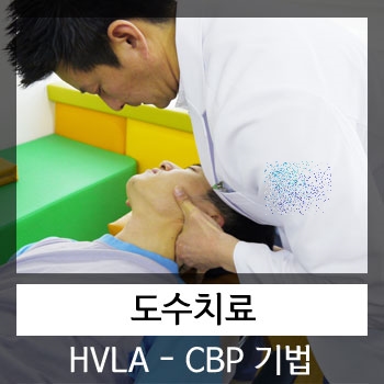  카이로프랙틱, 롤핑요법 모션힐바디워크