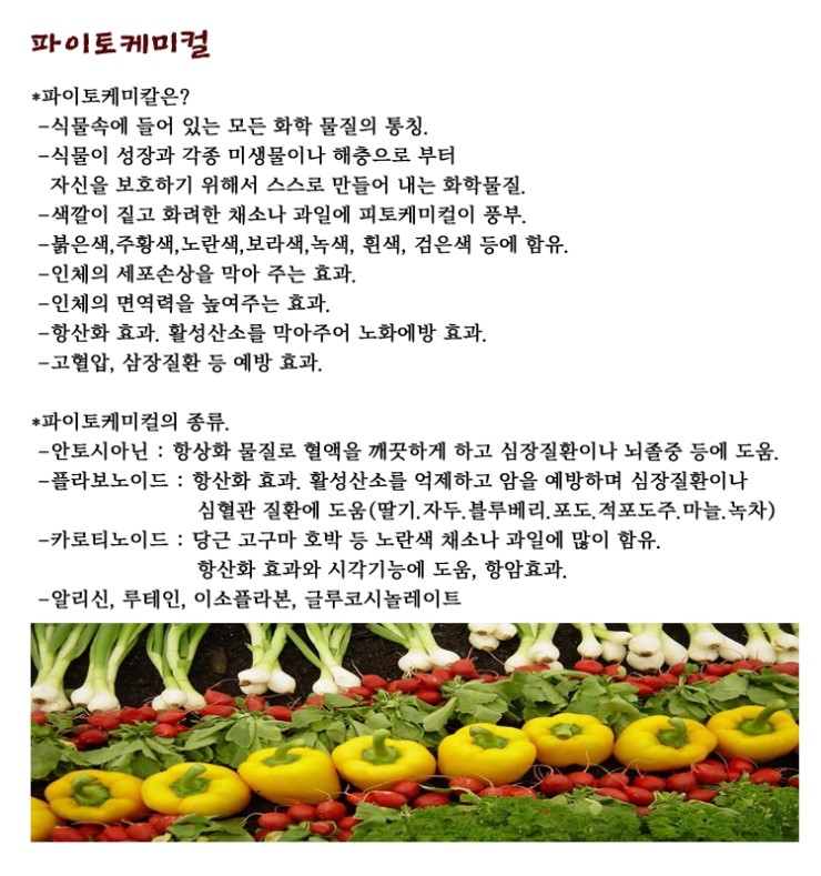  파이토케미컬