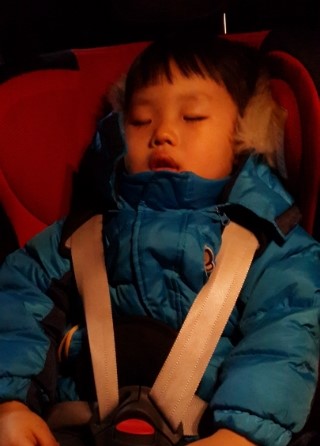  믿고쓰는 레카로 몬자노바SF