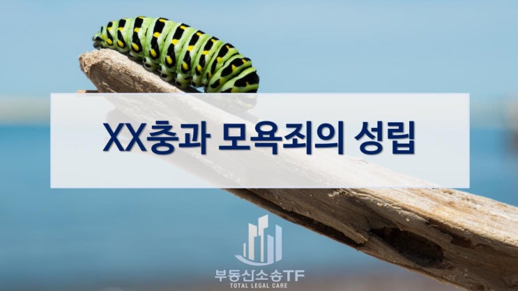  XX충과 모욕죄 성립에 관해