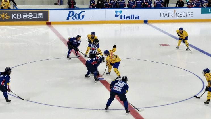 여자 아이스하키 국가대표 친선경기, 대 스웨덴