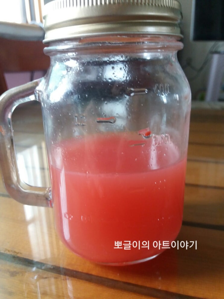 발효종 (액종)만들기