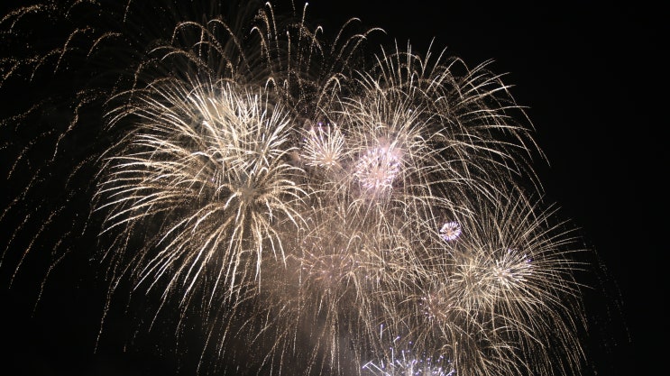  나인글로리:포항 국제 불빛축제/영일대 불꽃축제 보구왔어요^^