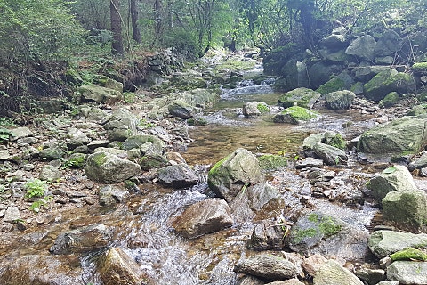 산골건강원 이미지