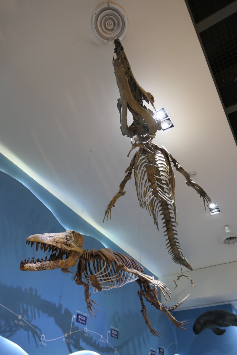 Iseul (@tattoosbyiseul) • Instagram photos and videos, image size:800x1200