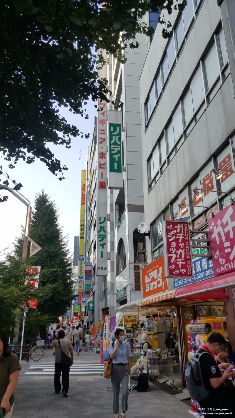 해외여행 일본 아키하바라 리버티8호점 Liberty 8 전설의 스타동 伝説のすた丼 네이버 블로그