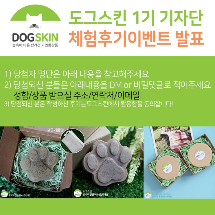 도그스킨 1기 기자단 발표