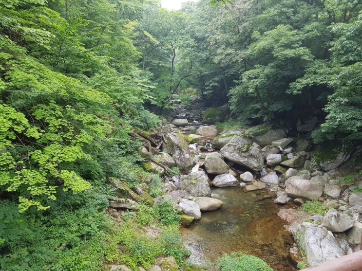  합천 해인사 여름에도 가기 좋았던 푸른 곳