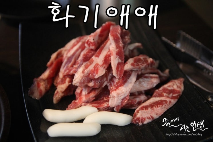  [건대역 맛집] 건대고기집 추천하는 화기애애