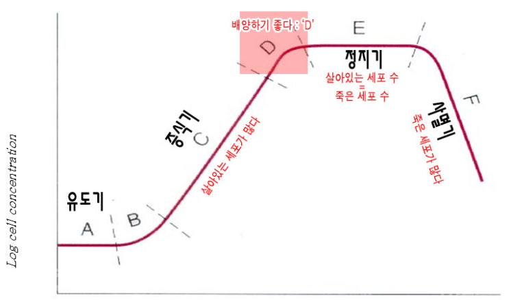  미생물학 - 세균영양&증식