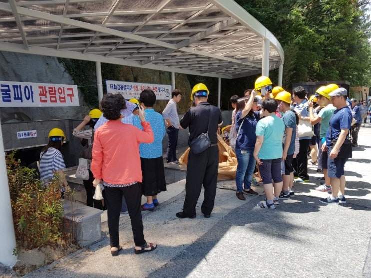  울산 여행 태화강 동굴피아 개장 실망스러운 곳