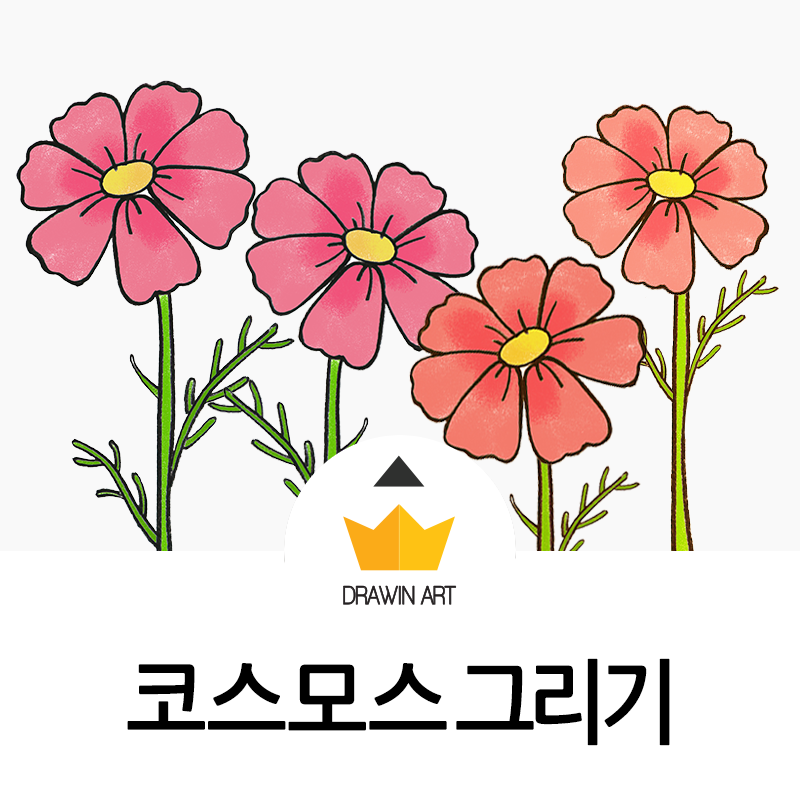 쉬운 꽃 그림그리기 코스모스 : 드로윈아트 : 네이버 블로그