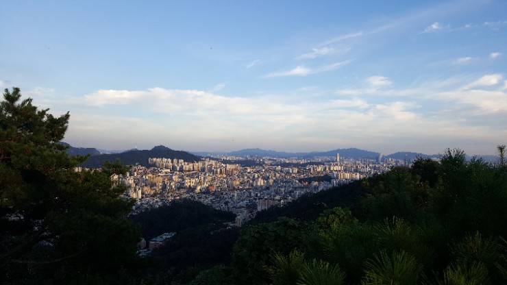  8월 3일 목요일