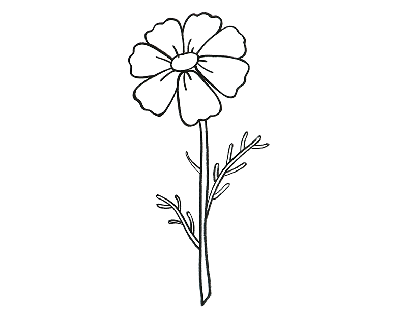 쉬운 꽃 그림그리기 코스모스 : 드로윈아트 : 네이버 블로그