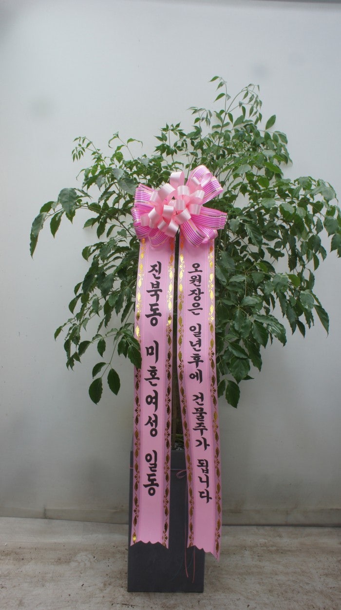 개업축하화분 리본문구 쓰는 방법! : 네이버 블로그