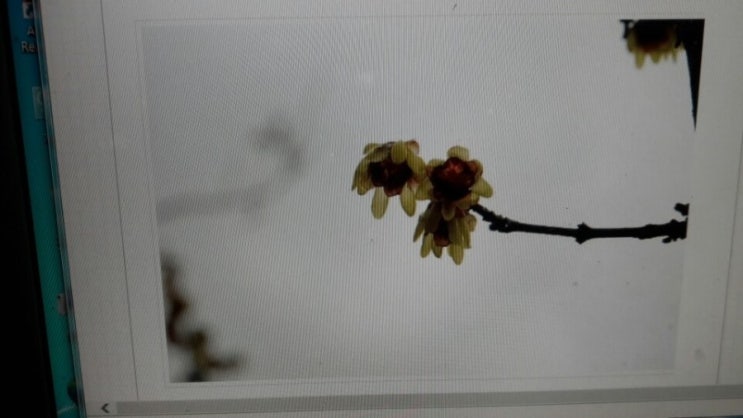 어제 보다 오늘 더 사랑 하세요, 어제 보다 오늘 더 사랑 하세요,