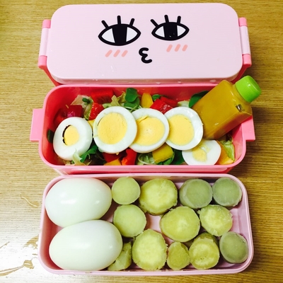  [직장인다이어트도시락] 기본 도시락 1탄