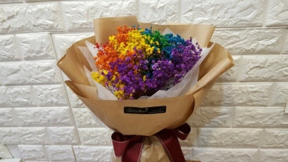 진짜 예쁜 무지개 꽃