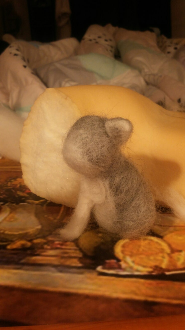  아메숏 양모펠트2