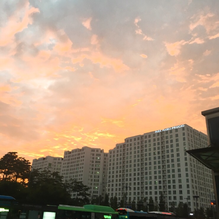  0808 노을