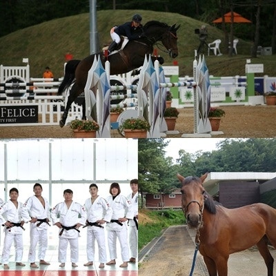 승용마 이름짓기 + 국가대표 유도단 응원 이벤트 참여해욧