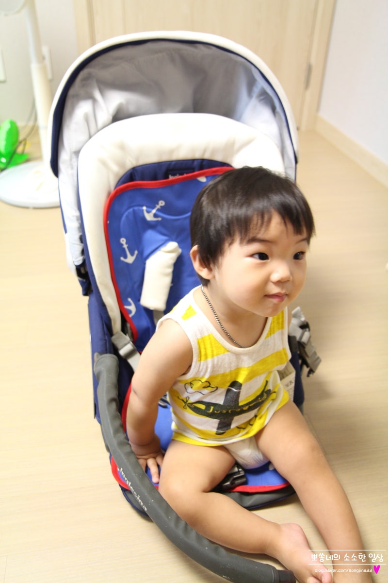 잉글레시나 트릴로지 세탁 사진 동영상보고 간편히 해결