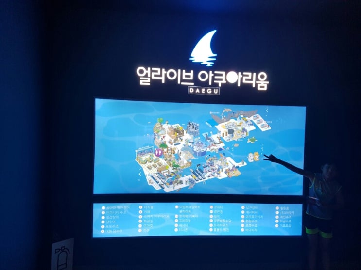  대구 신세계아쿠아리움 방문