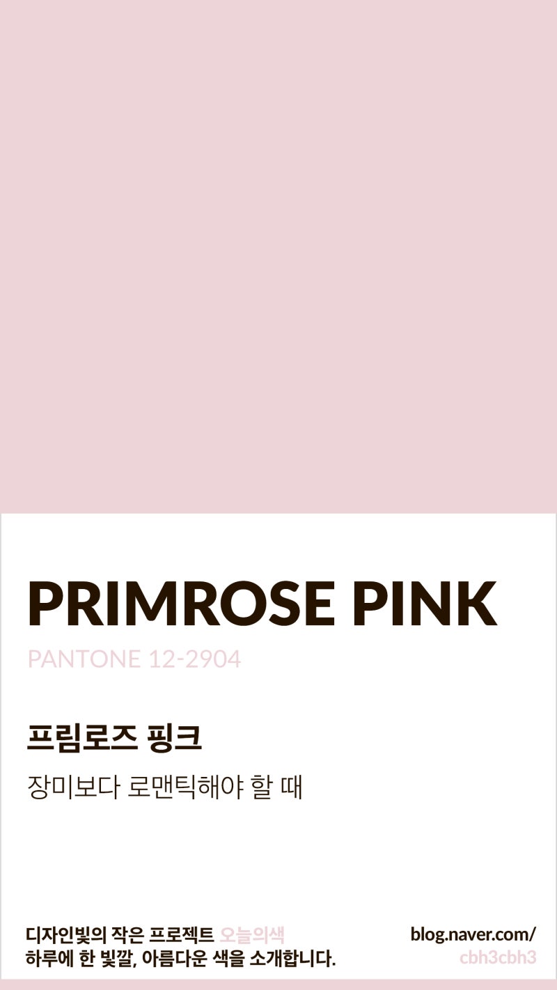 검정 제거 후 로즈 핑크 컬러