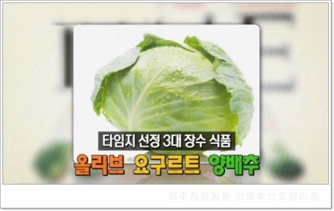 부모님 선물로 양배추 브로콜리 주스